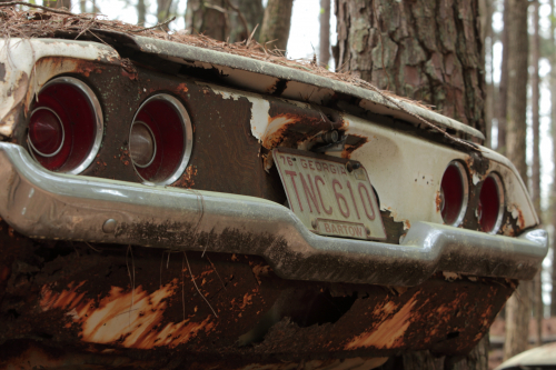 2019SouthernUSA-099FullHD