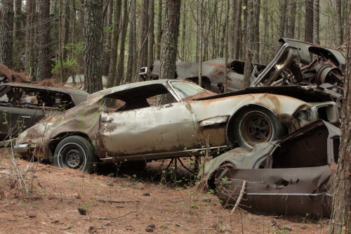 2019SouthernUSA-101FullHD