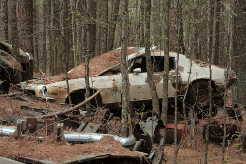 2019SouthernUSA-102FullHD