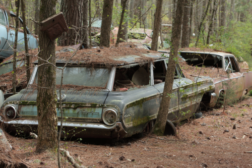 2019SouthernUSA-103FullHD