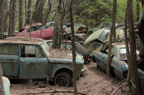 2019SouthernUSA-104FullHD