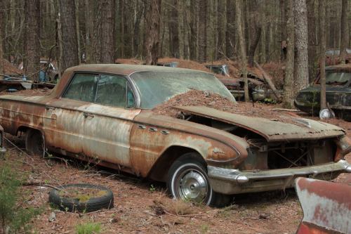 2019SouthernUSA-105FullHD