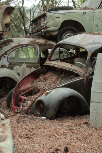 2019SouthernUSA-106FullHD