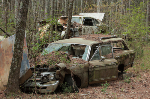 2019SouthernUSA-107FullHD