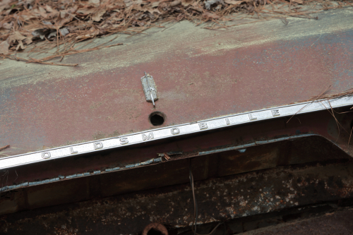 2019SouthernUSA-110FullHD