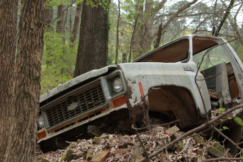 2019SouthernUSA-111FullHD