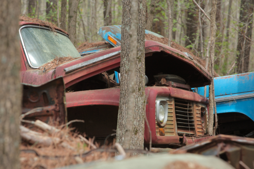 2019SouthernUSA-112FullHD