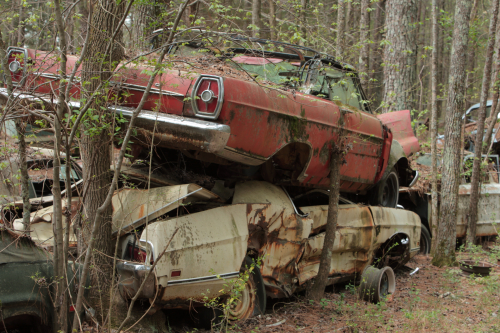 2019SouthernUSA-114FullHD