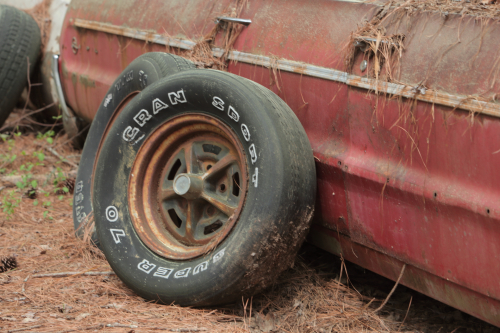 2019SouthernUSA-115FullHD