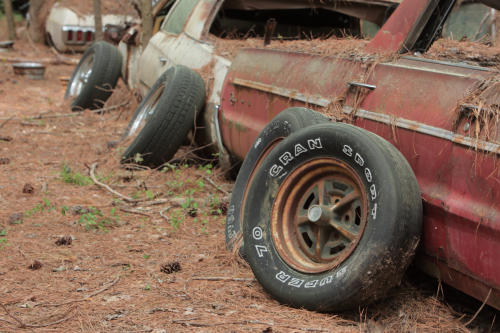 2019SouthernUSA-116FullHD