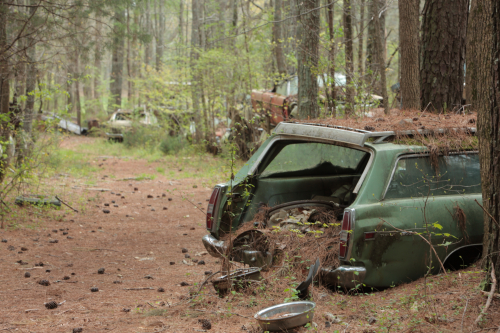 2019SouthernUSA-117FullHD