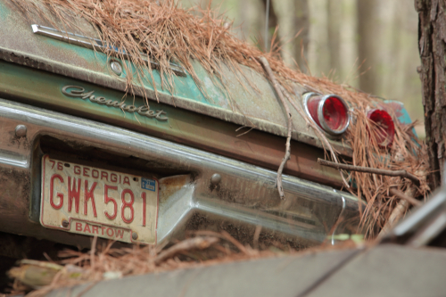 2019SouthernUSA-118FullHD