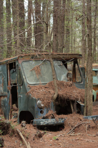 2019SouthernUSA-119FullHD