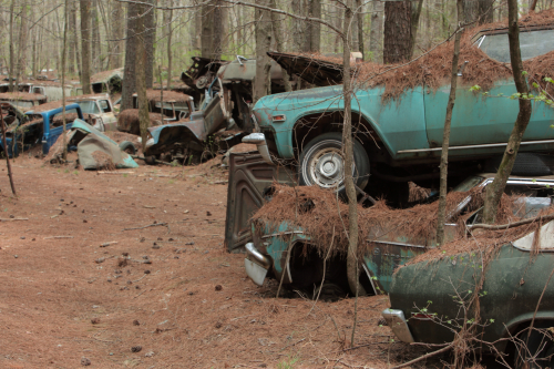 2019SouthernUSA-120FullHD