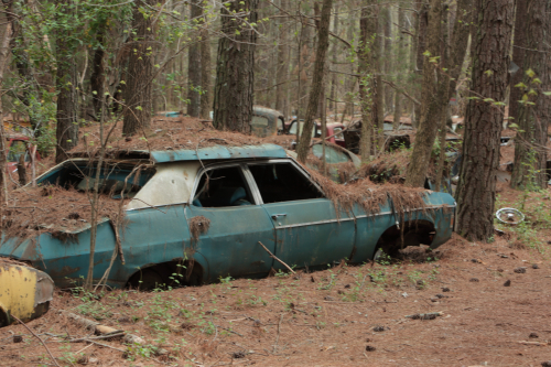 2019SouthernUSA-121FullHD