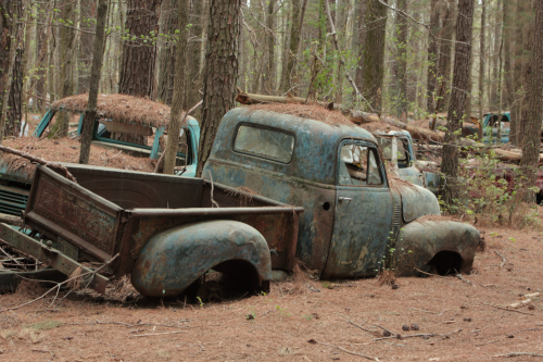 2019SouthernUSA-122FullHD