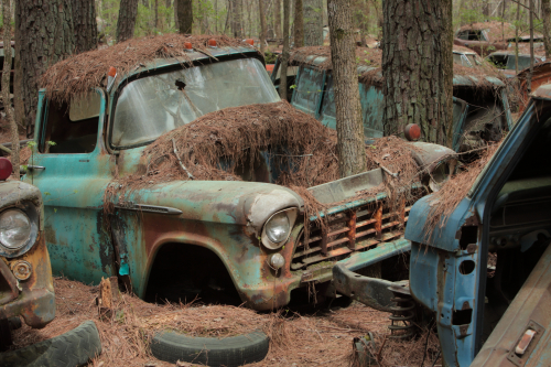 2019SouthernUSA-123FullHD