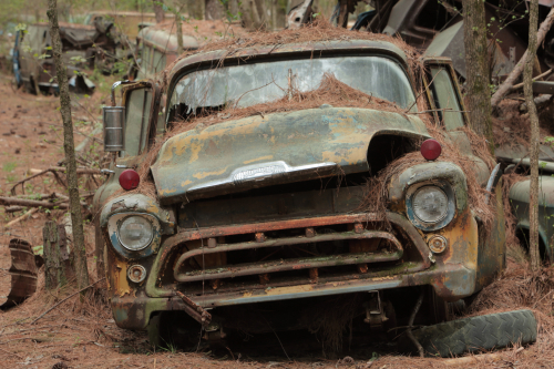 2019SouthernUSA-124FullHD