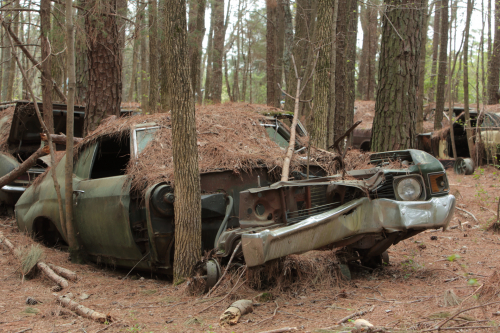 2019SouthernUSA-125FullHD