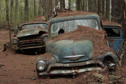 2019SouthernUSA-126FullHD