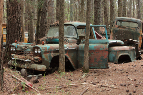 2019SouthernUSA-127FullHD