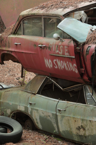 2019SouthernUSA-128FullHD