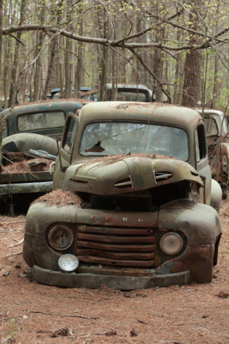 2019SouthernUSA-129FullHD