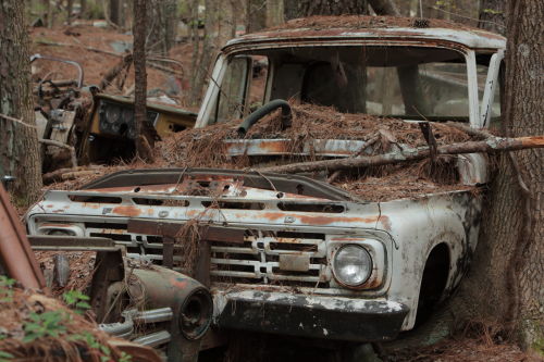 2019SouthernUSA-131FullHD