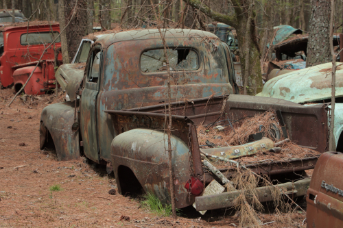 2019SouthernUSA-132FullHD