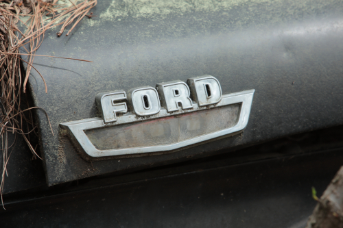 2019SouthernUSA-133FullHD