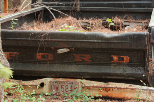 2019SouthernUSA-134FullHD