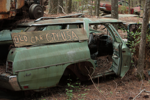 2019SouthernUSA-135FullHD