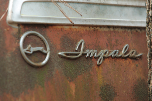 2019SouthernUSA-136FullHD