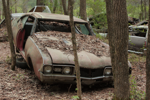 2019SouthernUSA-137FullHD