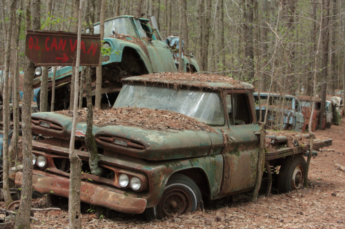 2019SouthernUSA-138FullHD