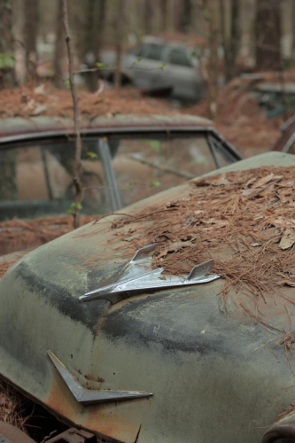 2019SouthernUSA-140FullHD