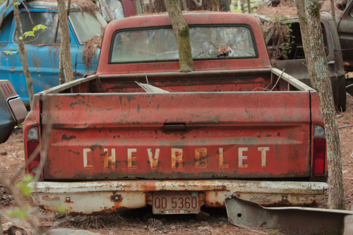 2019SouthernUSA-141FullHD