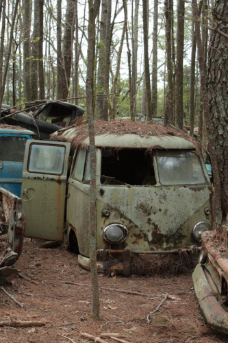 2019SouthernUSA-142FullHD