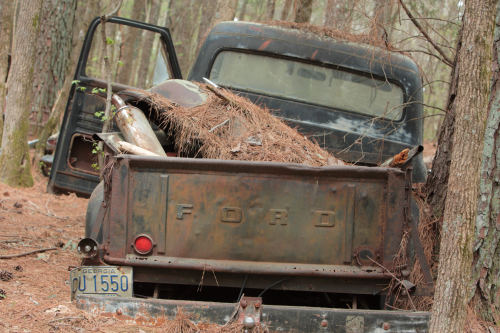 2019SouthernUSA-143FullHD