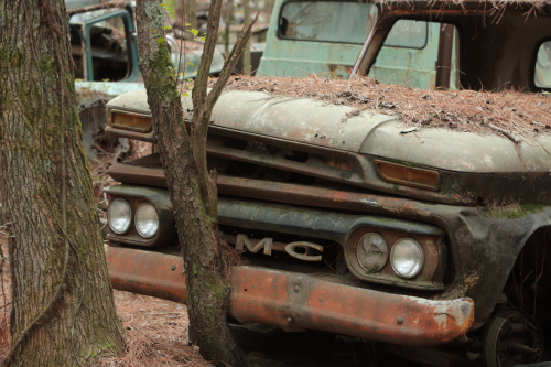 2019SouthernUSA-144FullHD