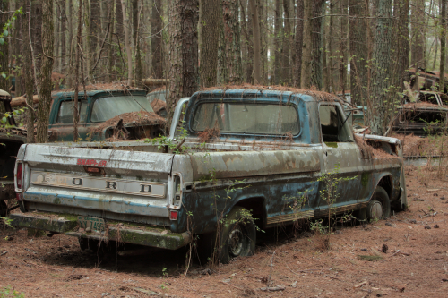 2019SouthernUSA-145FullHD