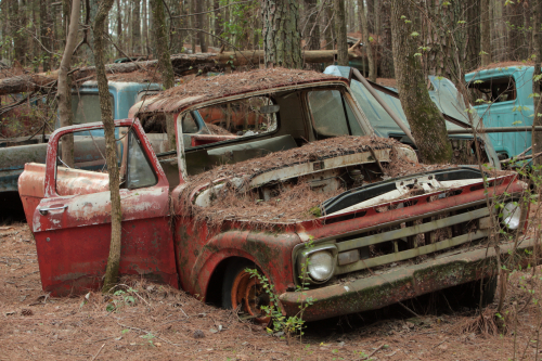 2019SouthernUSA-146FullHD