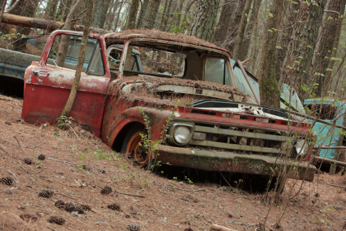 2019SouthernUSA-147FullHD