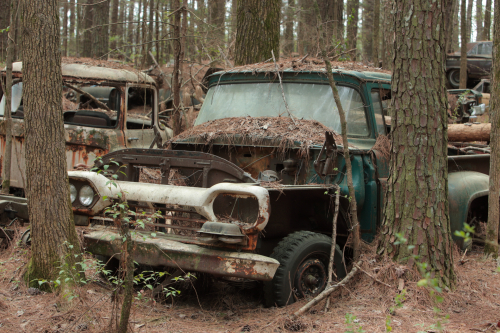 2019SouthernUSA-148FullHD