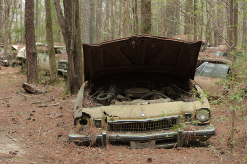 2019SouthernUSA-149FullHD