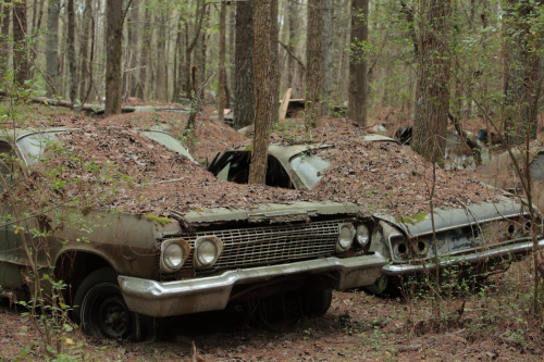 2019SouthernUSA-151FullHD