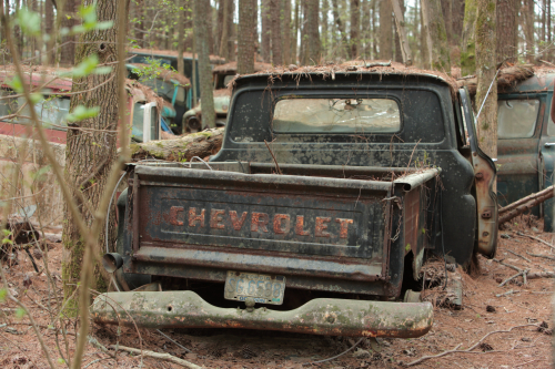 2019SouthernUSA-152FullHD