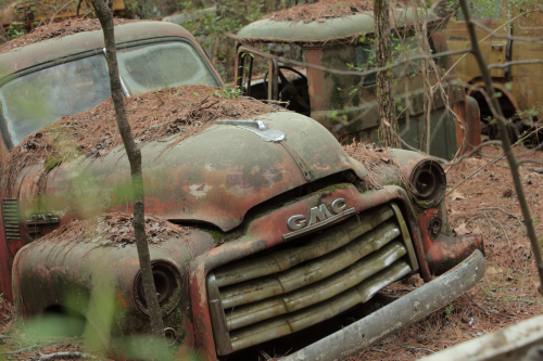 2019SouthernUSA-153FullHD