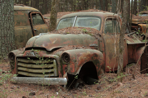 2019SouthernUSA-154FullHD