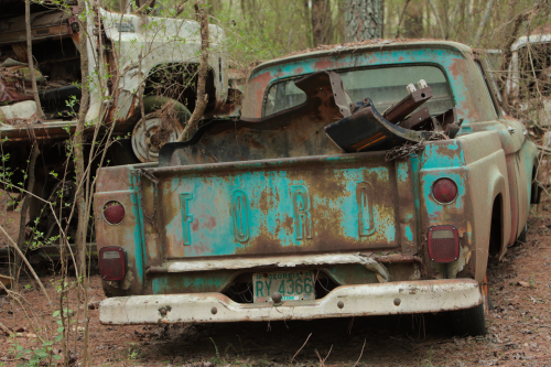 2019SouthernUSA-155FullHD